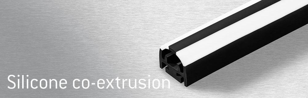 Silicone co-extrusion